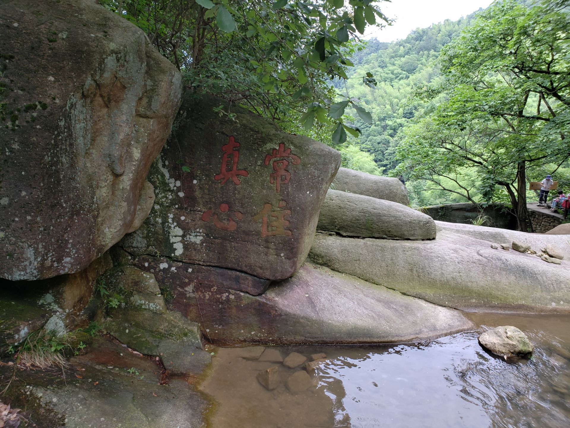 百花之王国色天香一一牡丹石 图 - 华夏奇石网 - 洛阳市赏石协会官方网站