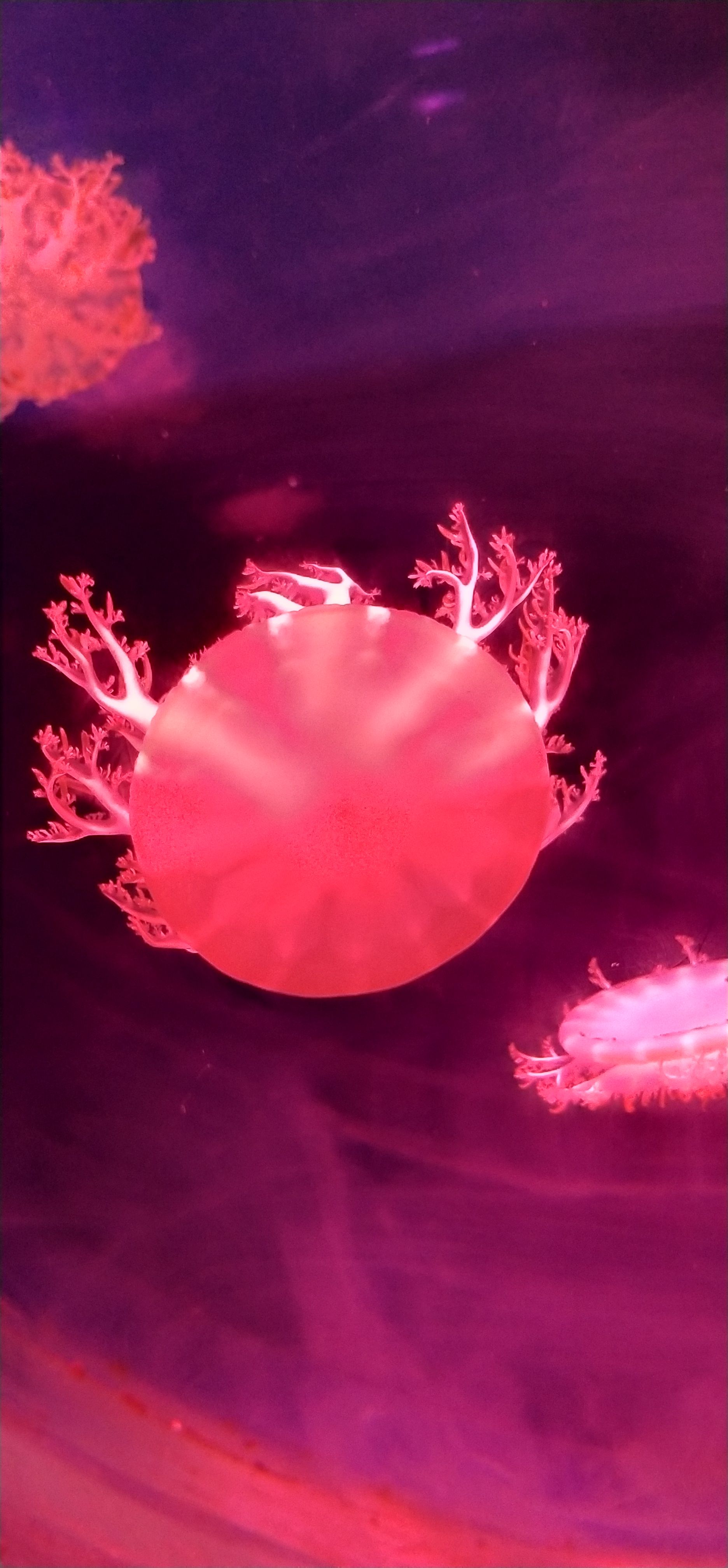 临沂极地海洋世界