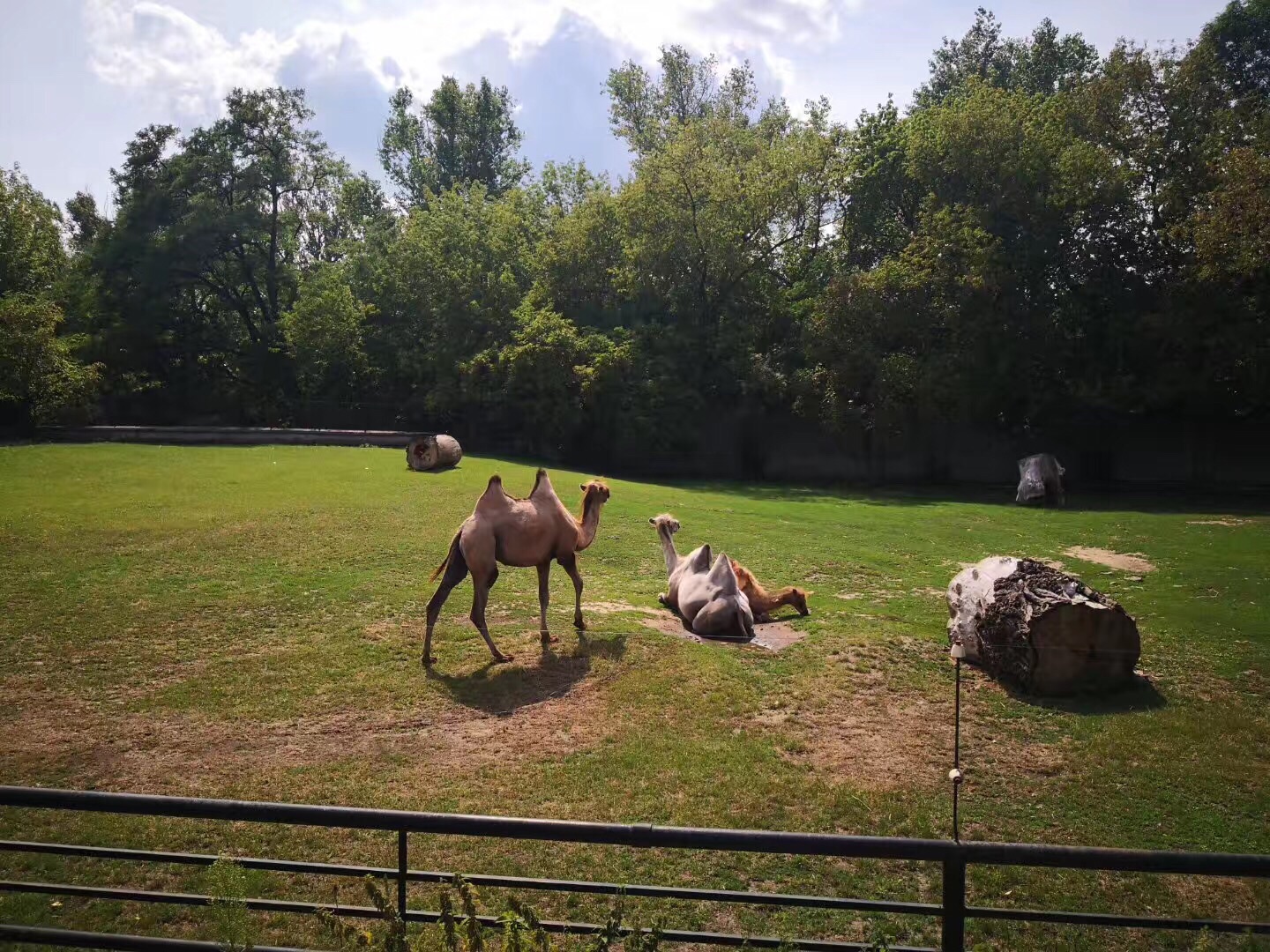 华沙动物园半日游!先把华沙玩透了非常值得.