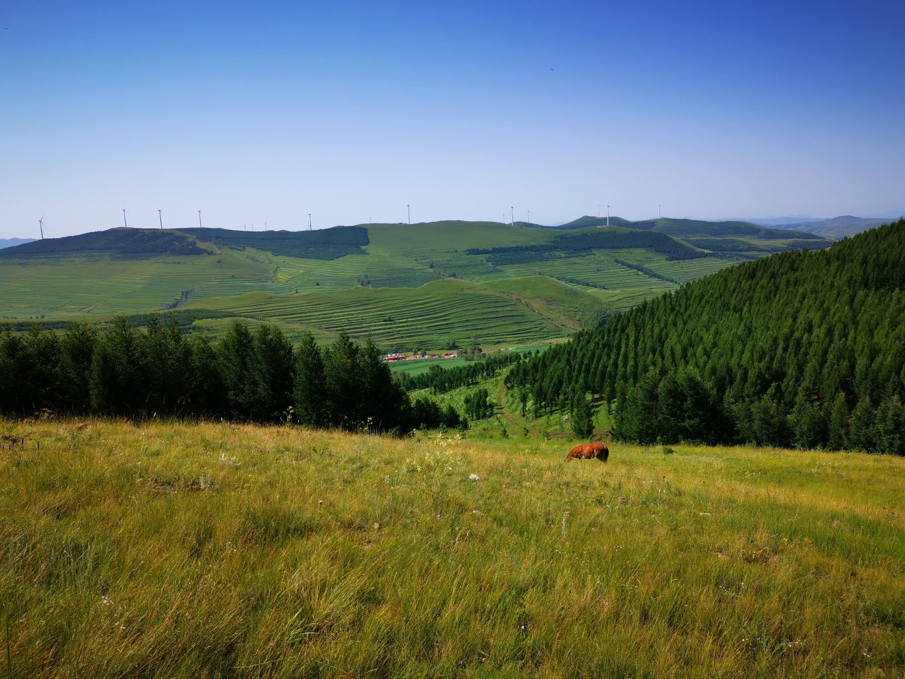 【携程攻略】张家口草原天路景点,【景色】大美,人多,7月份张北的气温