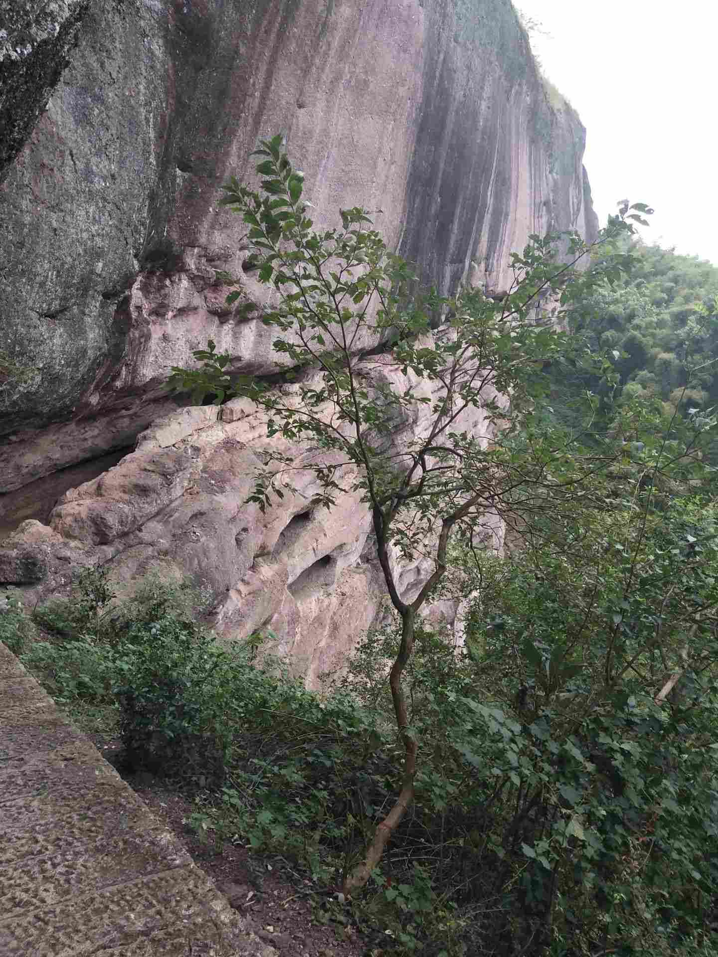 武義石鵝湖好玩嗎,武義石鵝湖景點怎麼樣_點評_評價【攜程攻略】