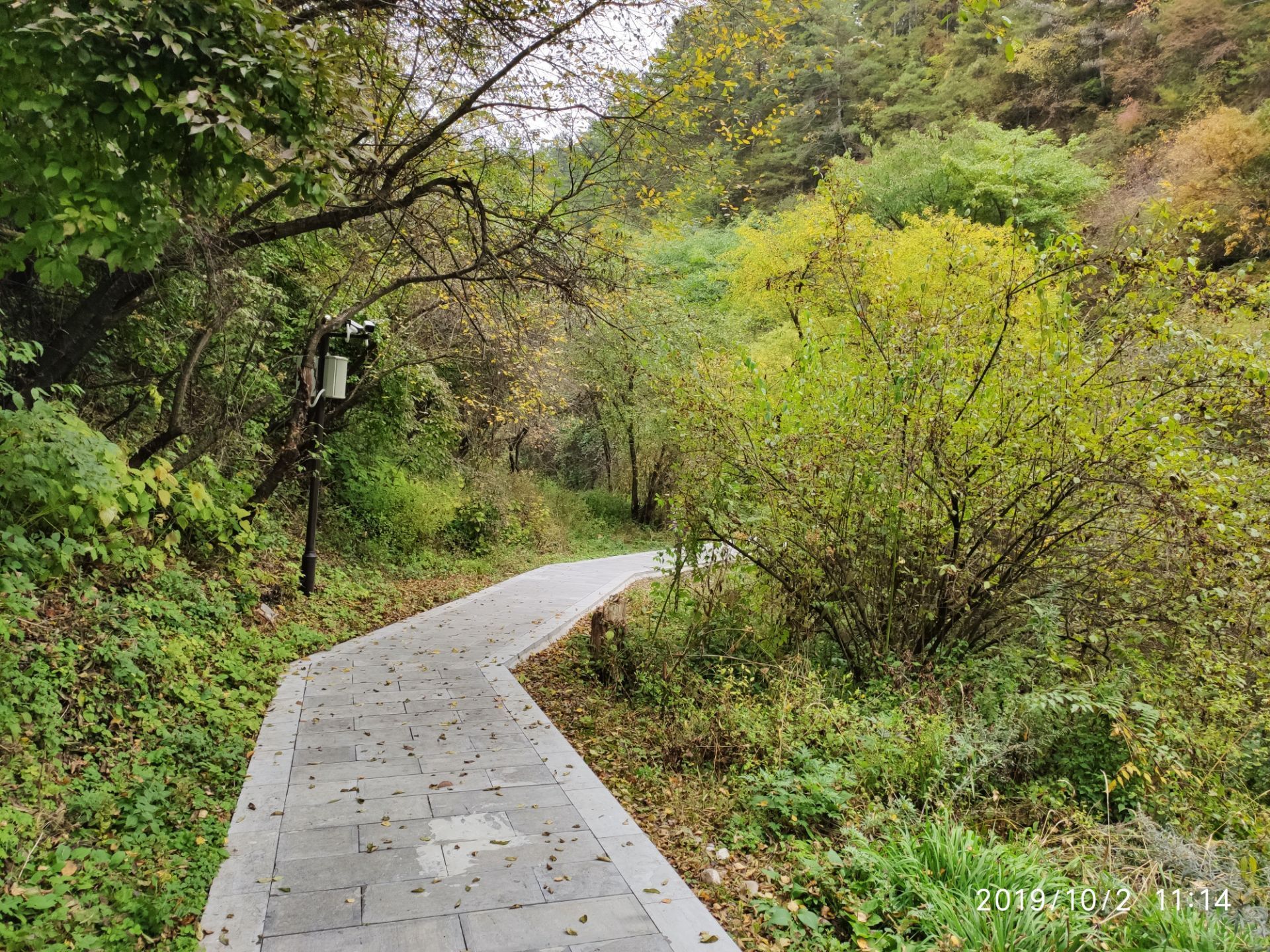 【携程攻略】苏州大阳山景区景点,大阳山森林公园的绿色植被非常茂密，真是个天然氧吧。前段时间一直在…