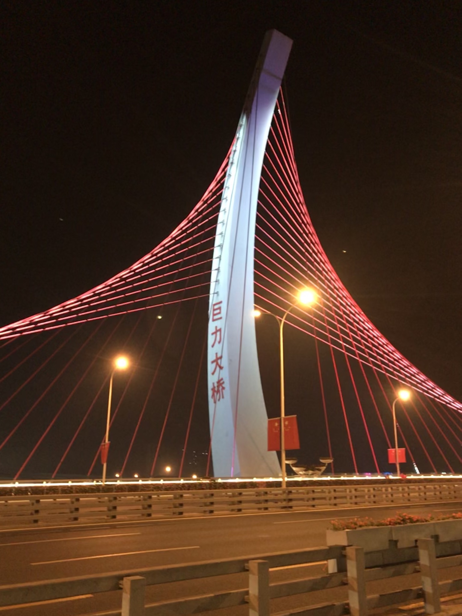 保定夜景 巨力大桥图片