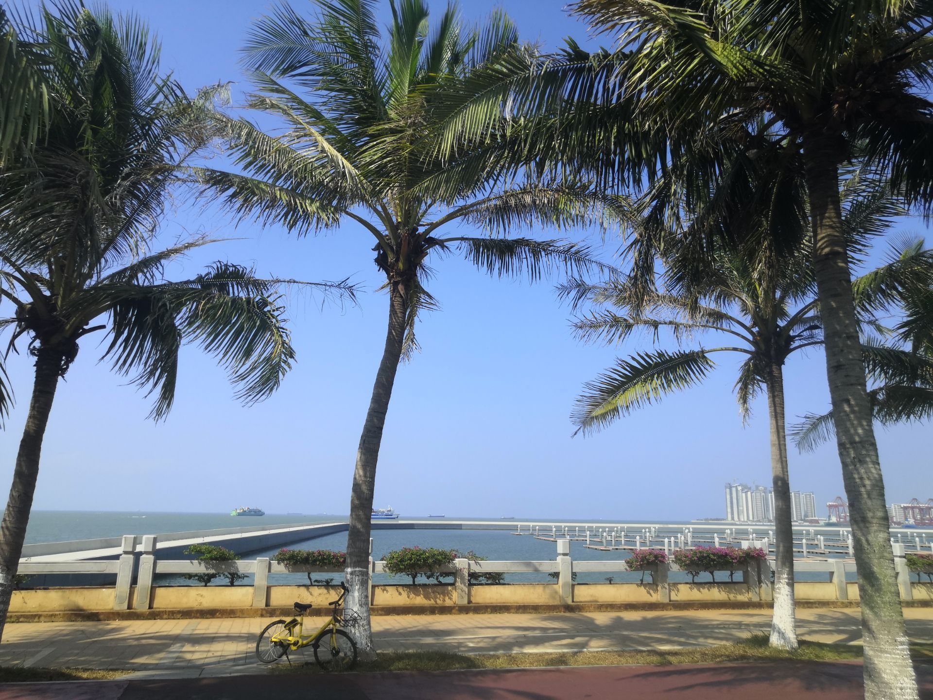 西海岸带状公园