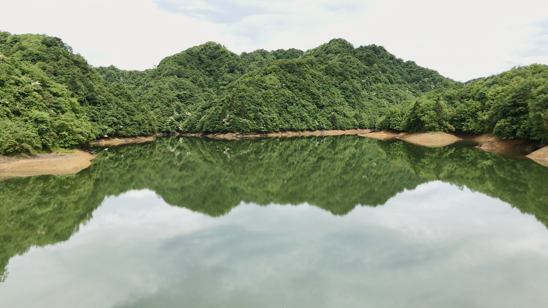 绥阳宽阔水原始森林图片
