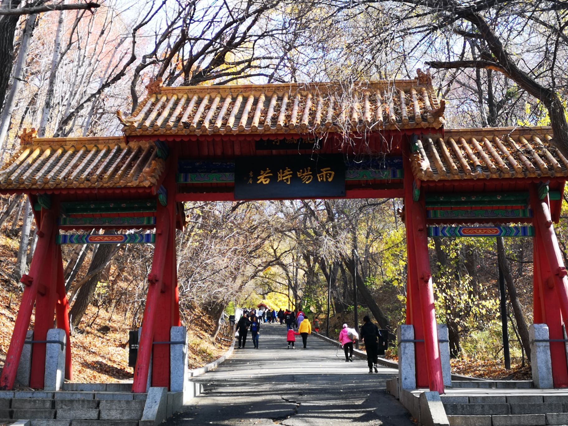 2020龙潭公园-旅游攻略-门票-地址-问答-游记点评，北京旅游旅游景点推荐-去哪儿攻略