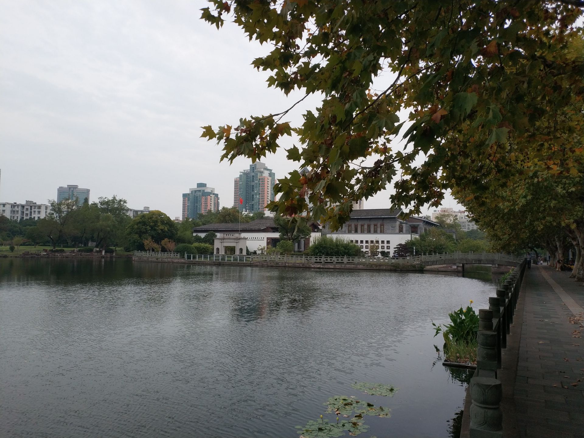 2024月湖公园游玩攻略,月湖公园是宁波市内一个免费...【去哪儿攻略】