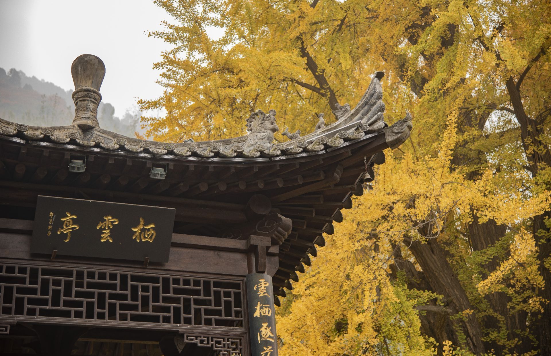 国内两个零差评的寺院，西南的“最文艺”，华东的“最清净”__凤凰网