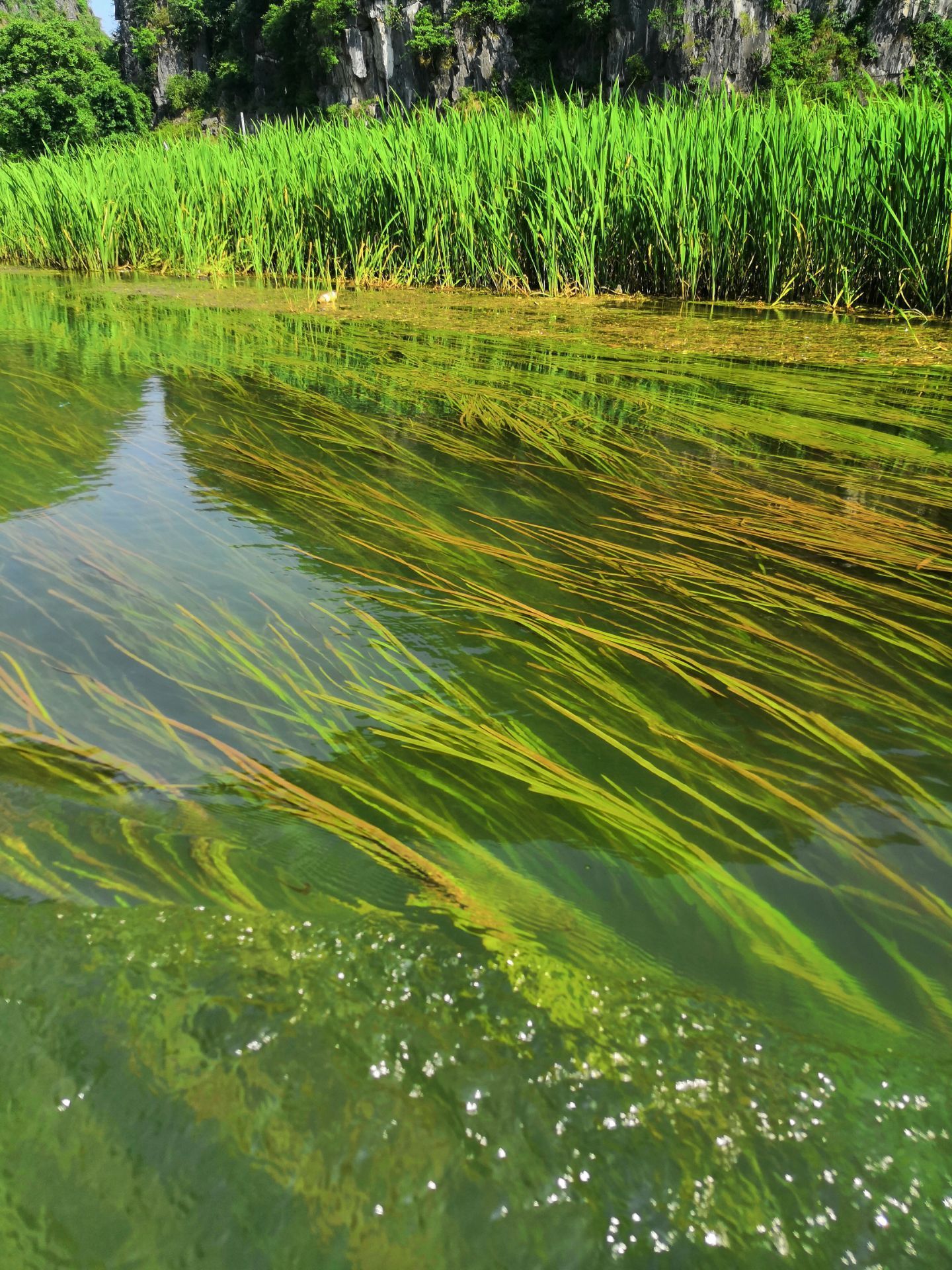 2022河野风景名胜区-旅游攻略-门票-地址-问答-游记