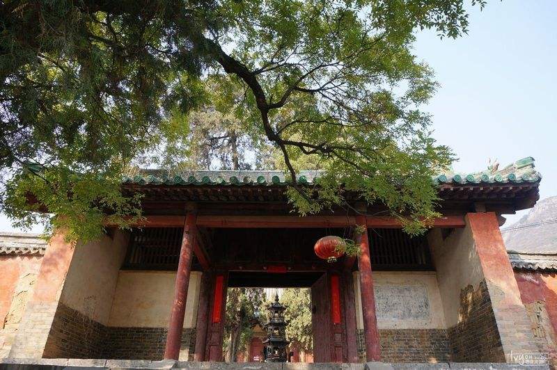 禅宗少林音乐大典附近团购