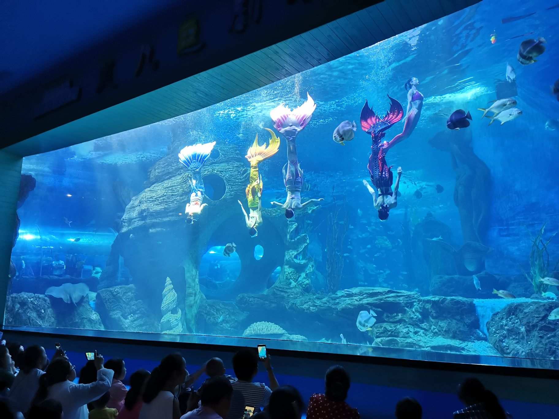 贵阳海底世界水族馆图片