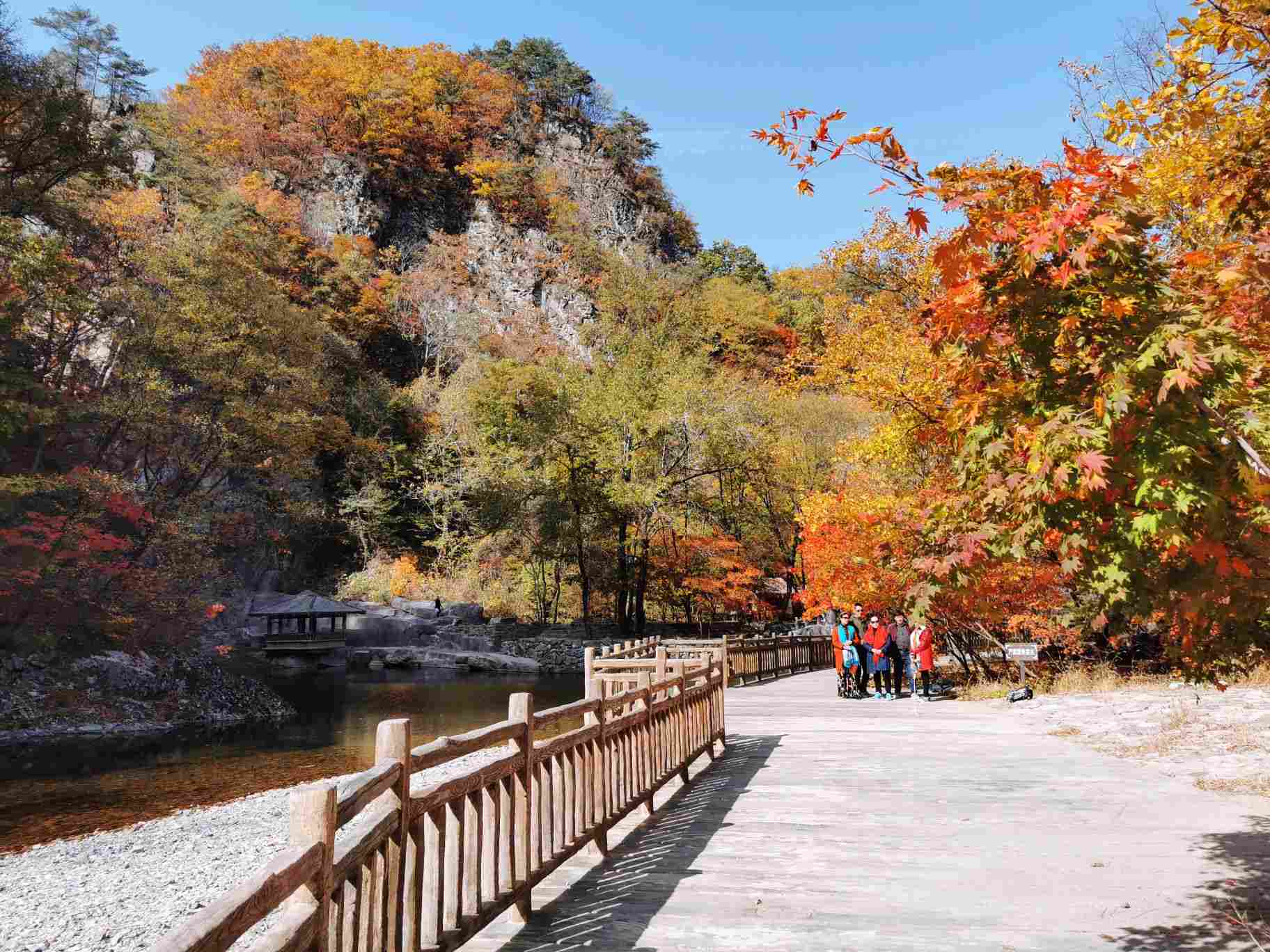 蒲石河森林公園