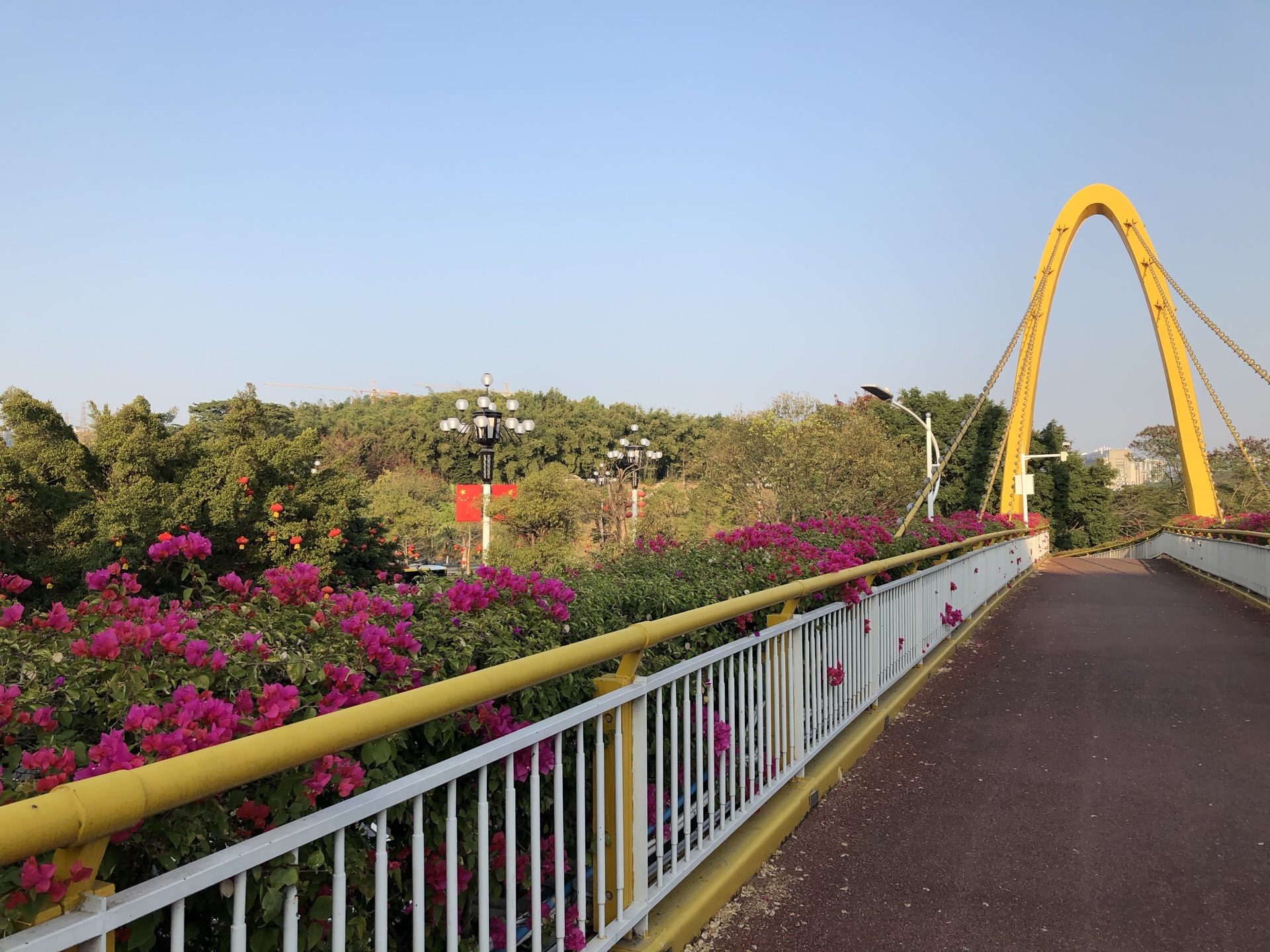 2020廣州科學城體育公園(東門)-旅遊攻略-門票-地址-問答-遊記點評