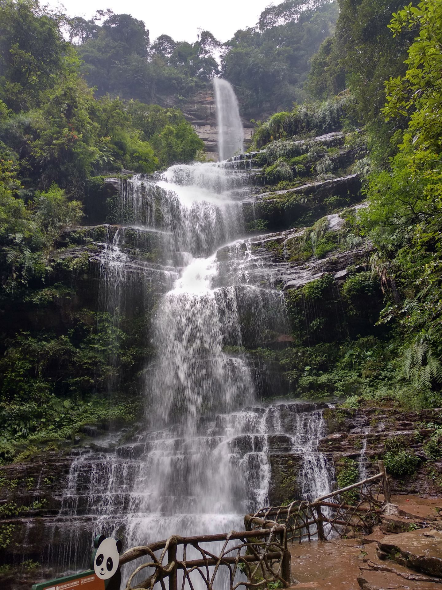 雅安碧峰峽好玩嗎,雅安碧峰峽景點怎麼樣_點評_評價【攜程攻略】