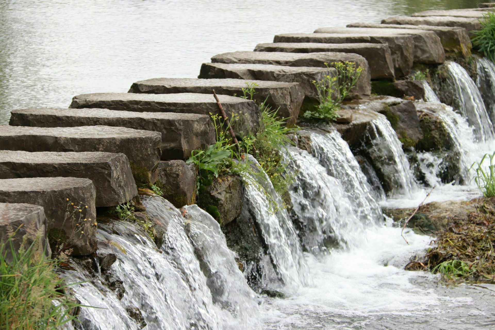 【携程攻略】贵阳百步桥景点,在很多人看来,百步桥只是湿地公园当中一