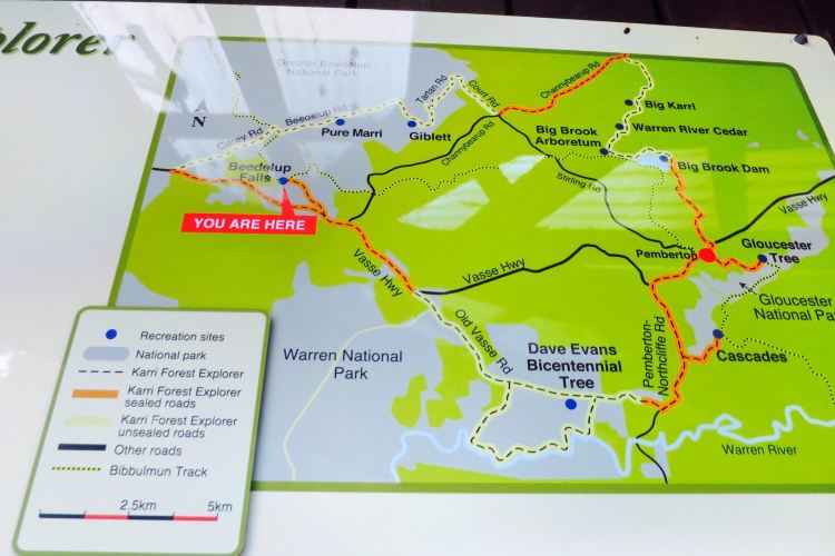 Beedelup National Park travel guidebook must visit attractions in