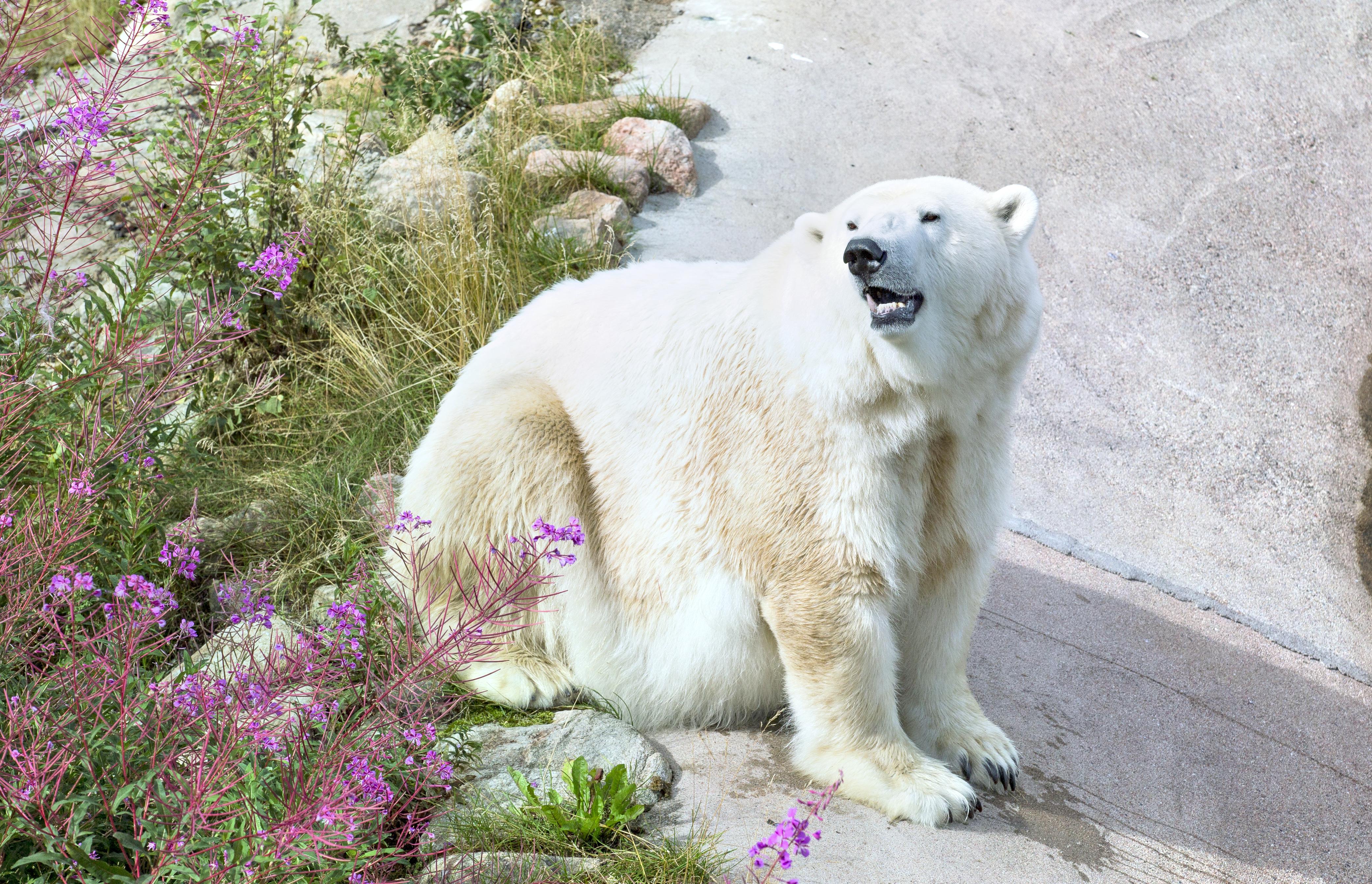 拉努阿野生动物园