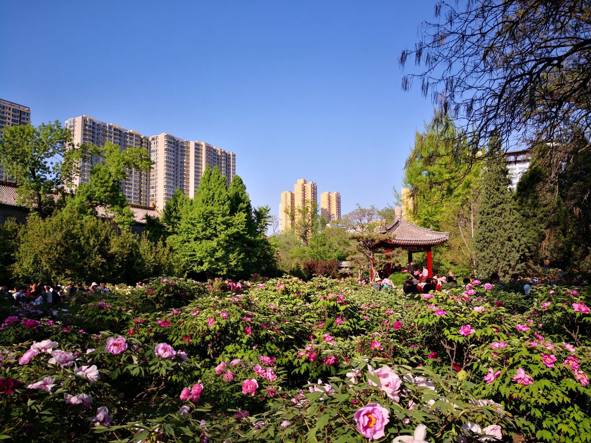 太原市晋城大厦