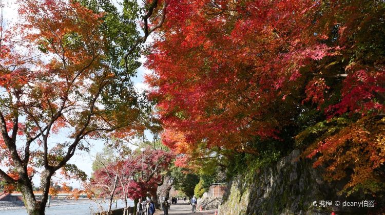 宇治市兴圣寺攻略 兴圣寺门票价格多少钱 团购票价预定优惠 景点地址图片 携程攻略