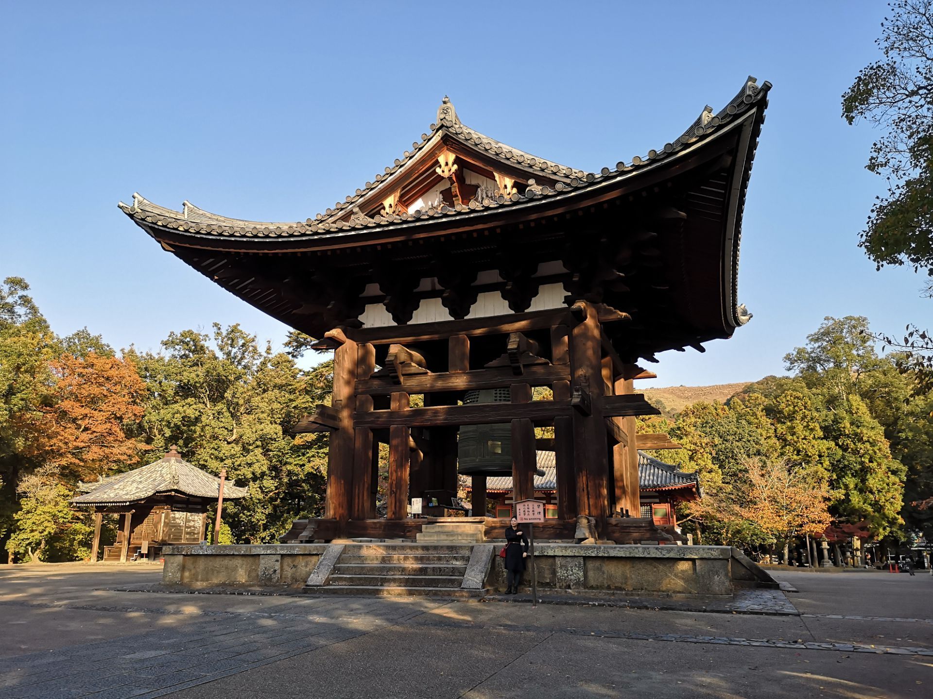 目的地 日本 奈良县 奈良 景点 东大寺  日本能建这样一座大寺也算是