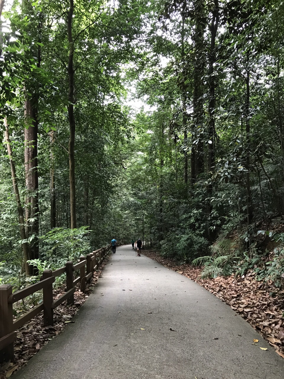 武吉知马天然保护区