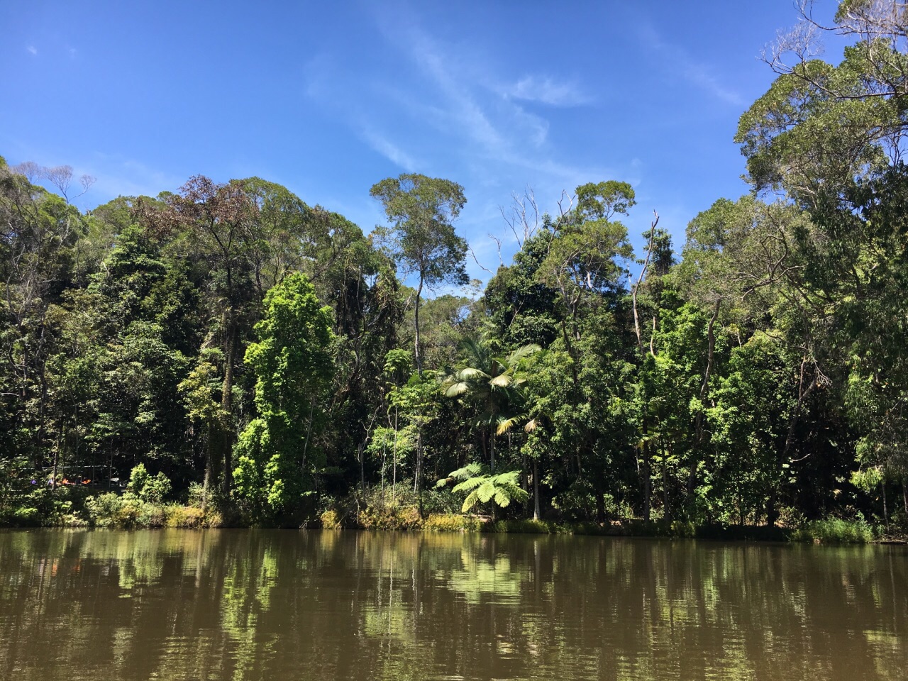 库兰达热带雨林公园
