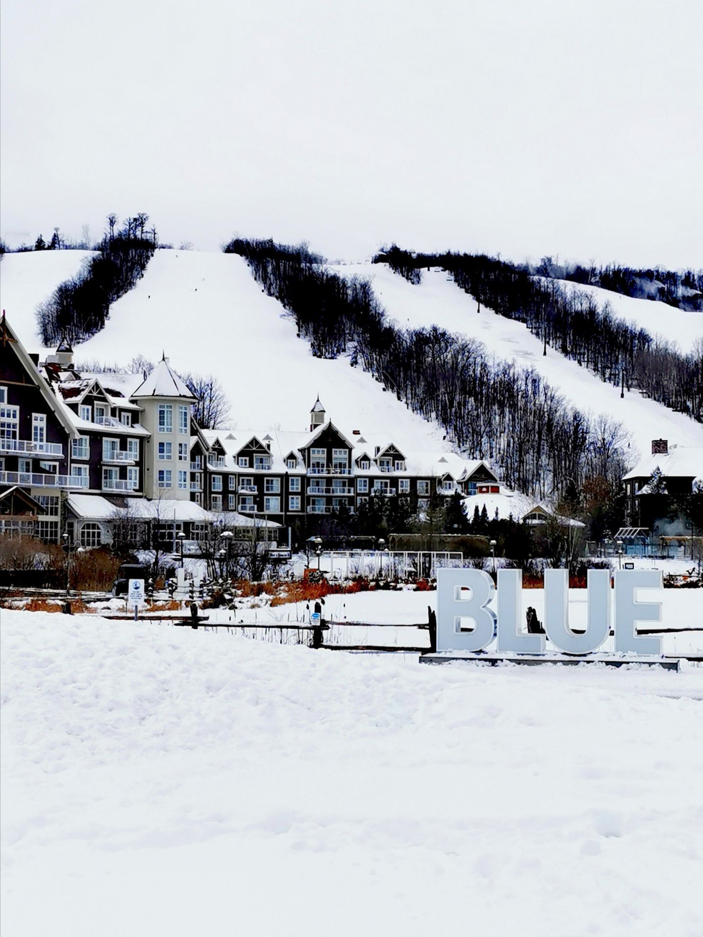在冬季,蓝山度假村为您准备了丰富有趣的雪上活动:雪地摩托,狗拉雪橇