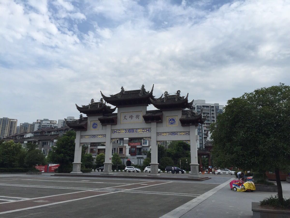 重庆市开州区文峰街道图片