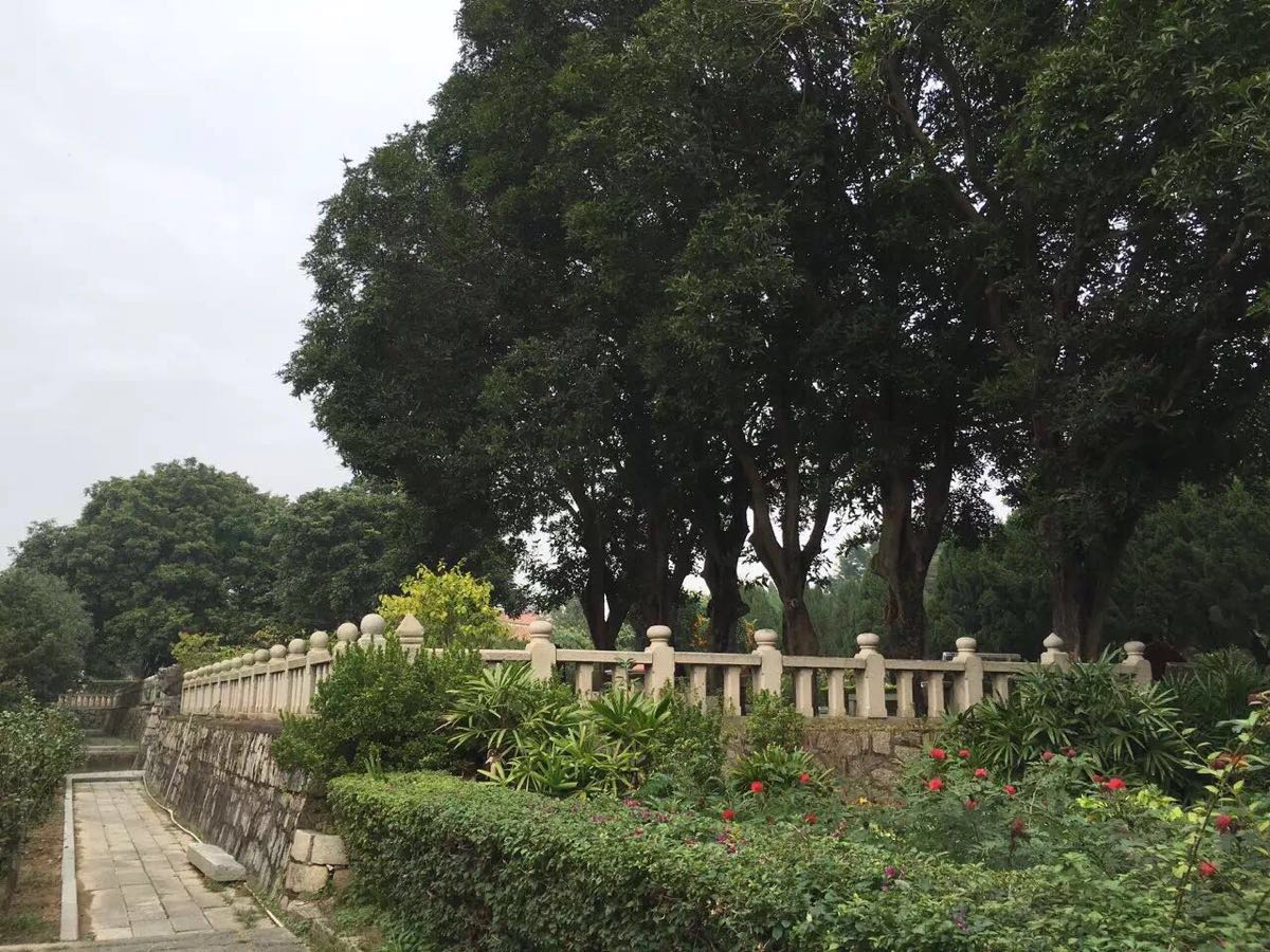 【攜程攻略】泉州大開元寺景點,朋友強烈推薦的開元寺,所以在從廈門