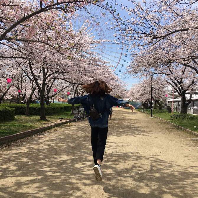 【慢行之日本】阳春四月樱花记,超详细的东京