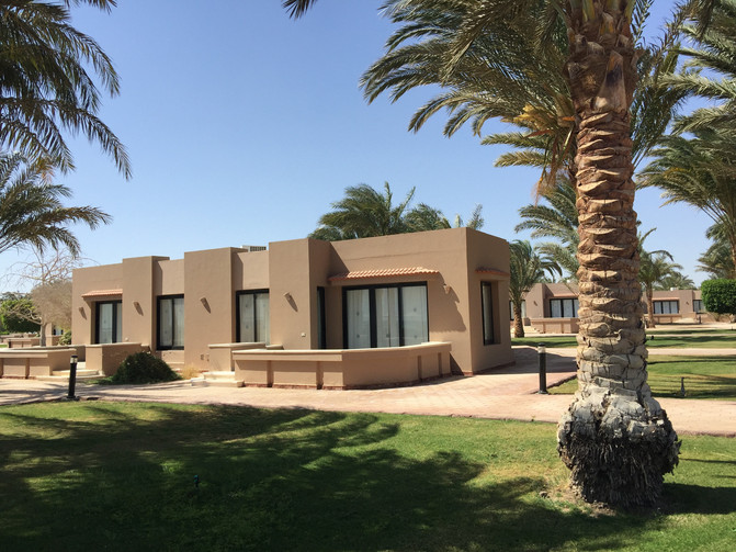 吃货眼中的埃及味道(8天北京→多哈转机→卢克