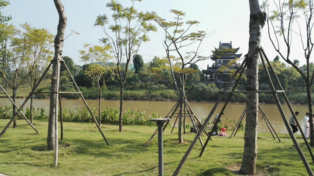 【攜程攻略】南寧五象湖公園景點,五象湖公園是南寧的標誌性公園,不來