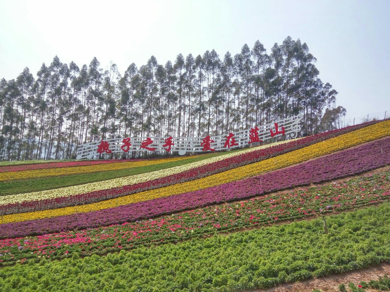 长泰十里蓝山好玩吗,长泰十里蓝山景点怎么样_点评_评价【携程攻略】