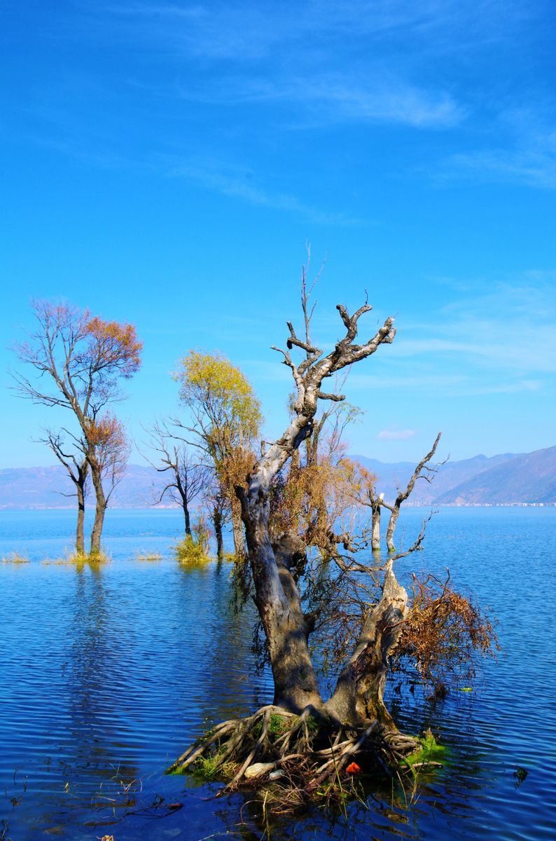 【携程攻略】大理洱海适合朋友出游旅游吗,洱海朋友出游景点推荐/点评