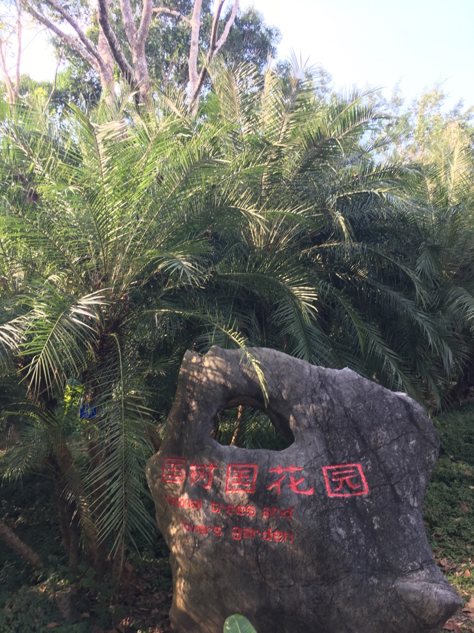 2018中科院西雙版納熱帶植物園_旅遊攻略_門票_地址_遊記點評