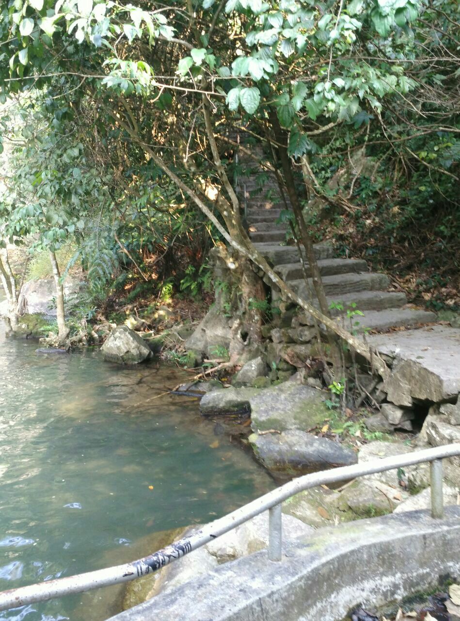 天露山旅遊度假區_旅遊攻略_門票_地址_遊記點評,新興旅遊景點推薦