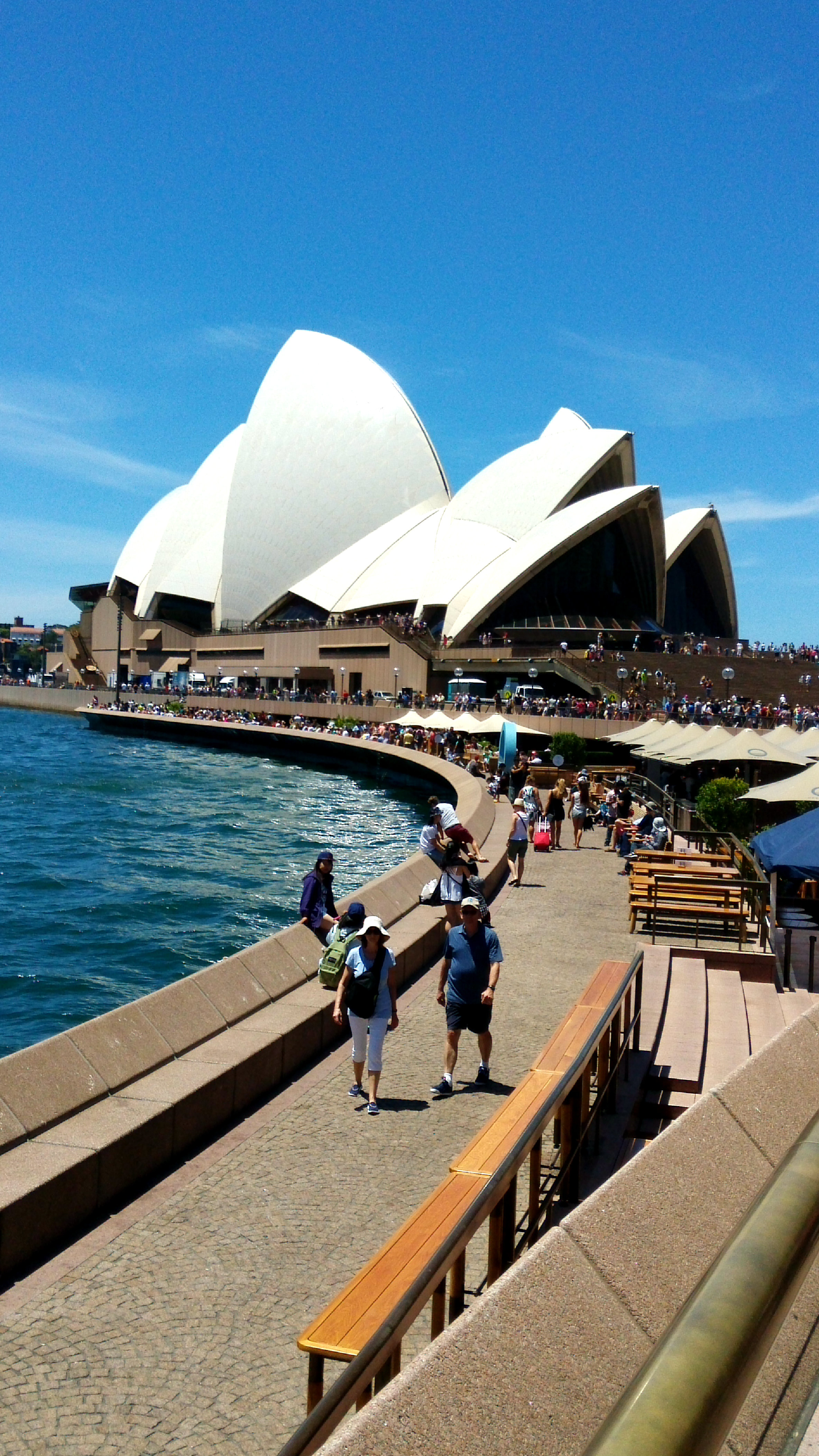 城市风光 风景名胜 澳大利亚 悉尼歌剧院桌面壁纸壁纸(风景静态壁纸) - 静态壁纸下载 - 元气壁纸