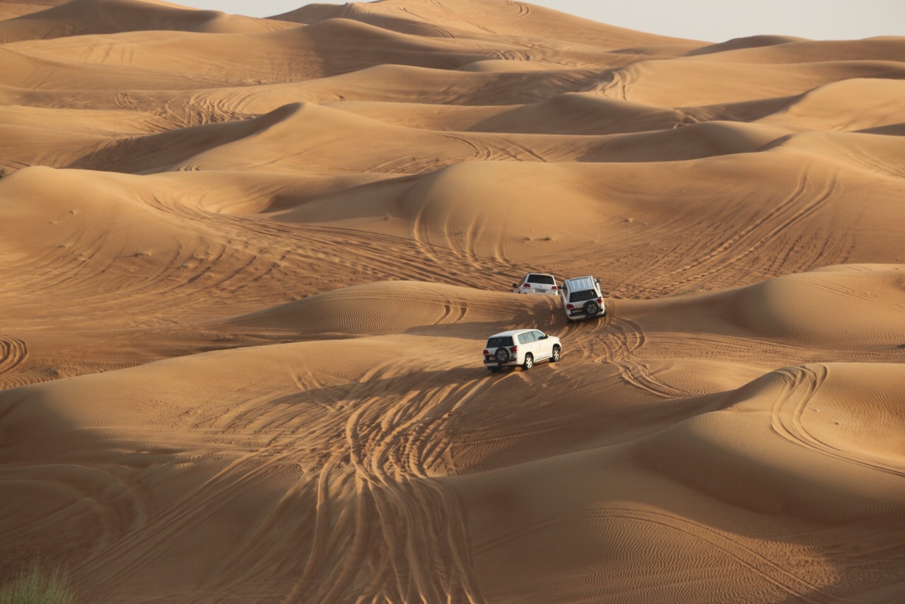 2023迪拜沙漠保护区游玩攻略,...棒，在这里可以冲沙，骑骆...【去哪儿攻略】