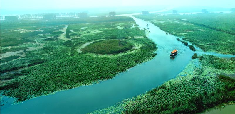 微山湖溼地紅荷風景區旅遊景點攻略圖