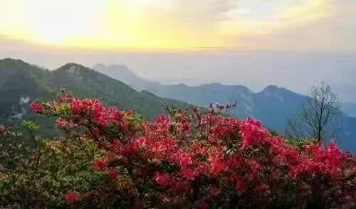 100s0f0000007iagk4312_R_640_10000_Q90.jpg?proc=autoorient