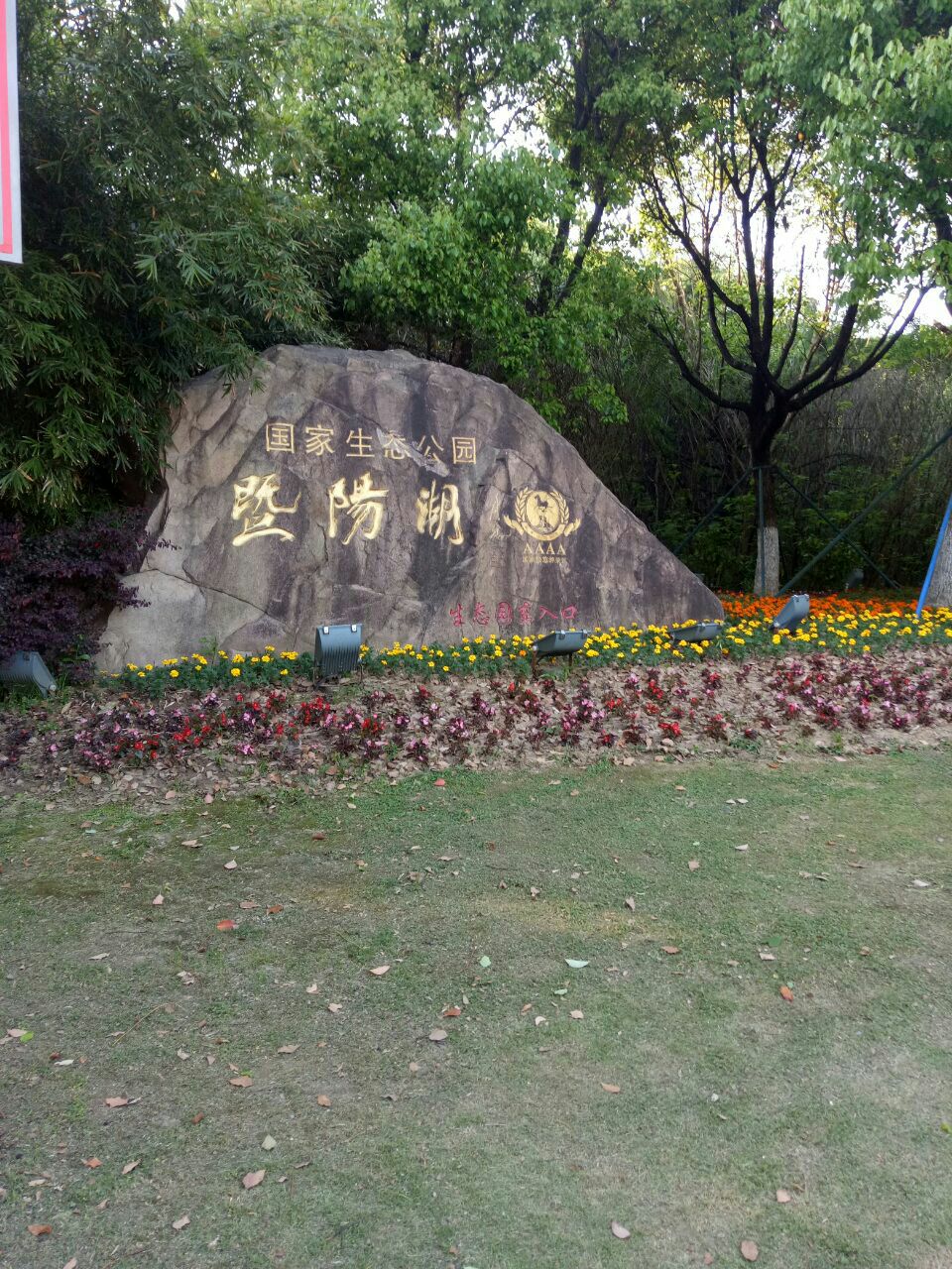 暨阳湖生态园图片