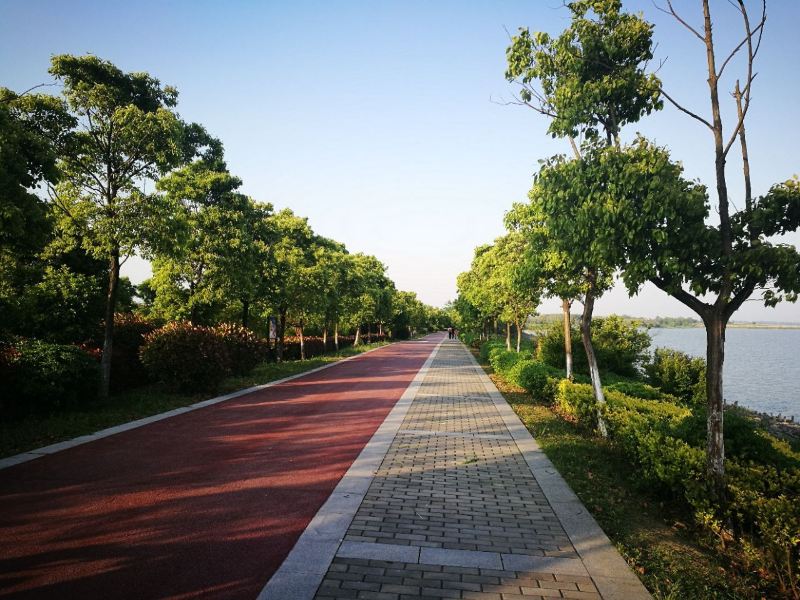 巢湖月亮湾湿地公园攻略-月亮湾湿地公园门票价格多少钱-团购票价预定