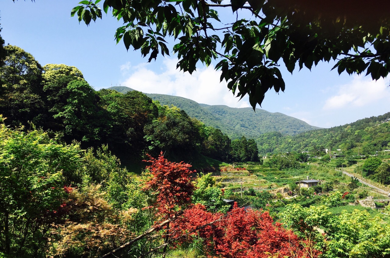 2020竹子湖-旅游攻略-门票-地址-问答-游记点评,台北旅游旅游景点推荐