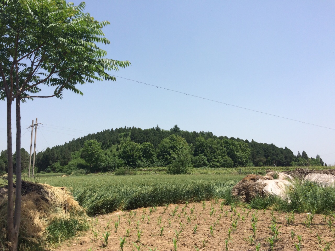 隋文帝陵
