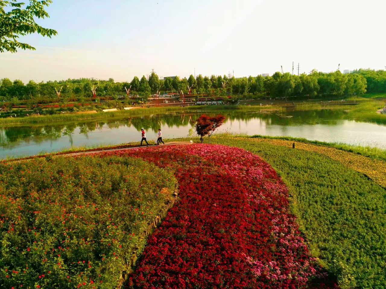 邻水石滓四季花海图片