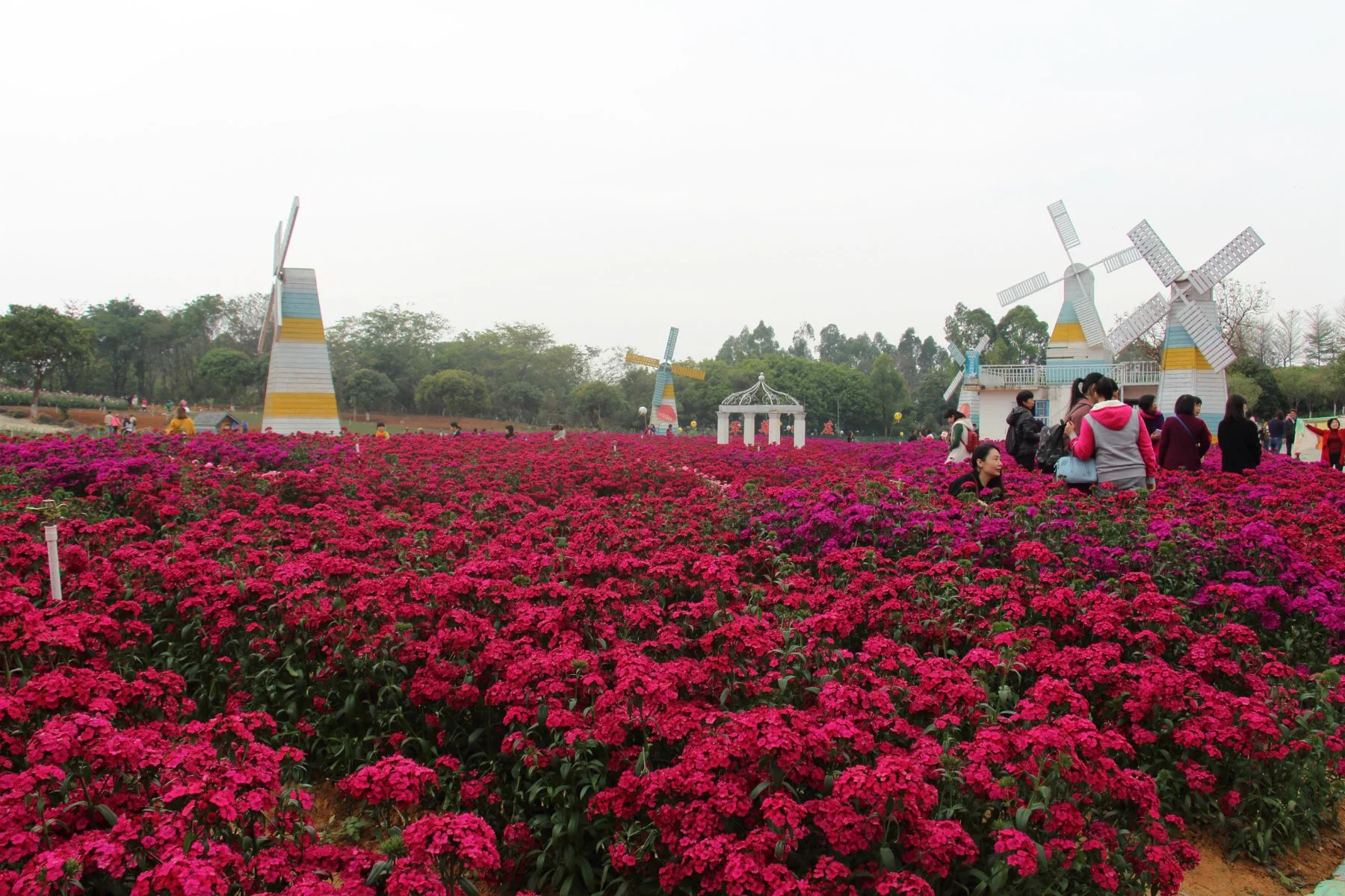 东莞梦幻百花洲好玩吗,东莞梦幻百花洲景点怎么样_点评_评价【携程