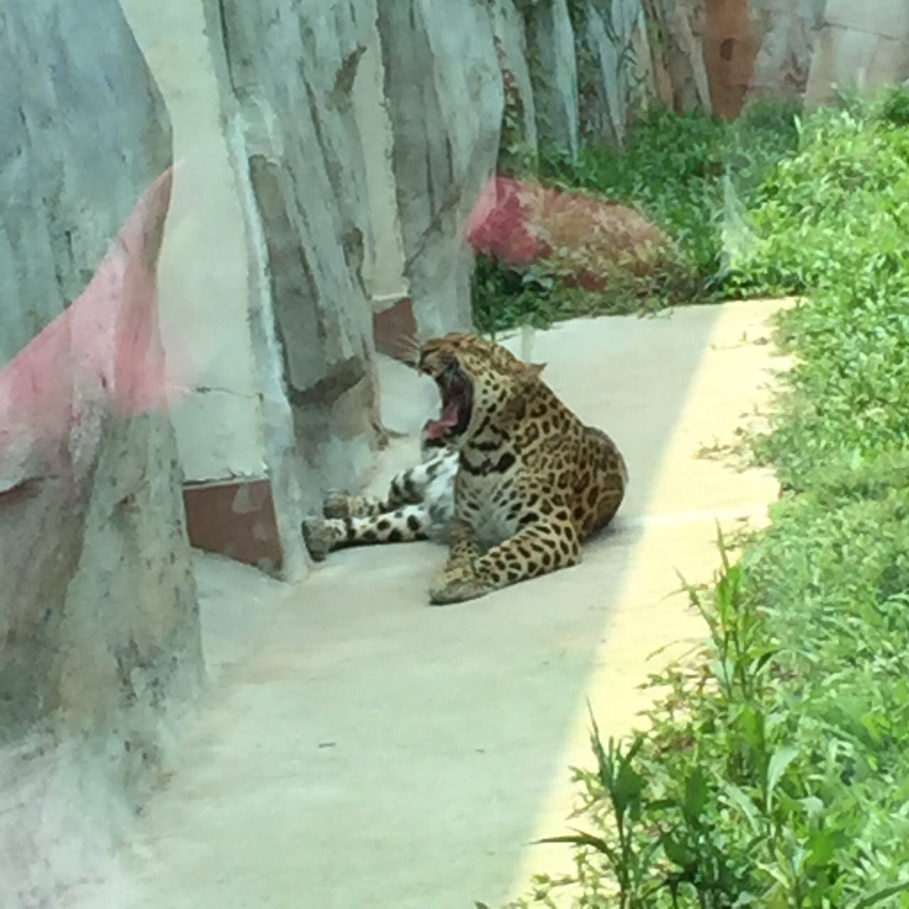 廣州動物園