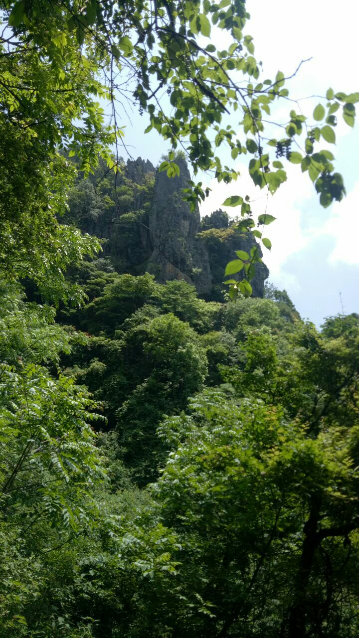 嵐皋南宮山國家森林公園好玩嗎,嵐皋南宮山國家森林公園景點怎麼樣