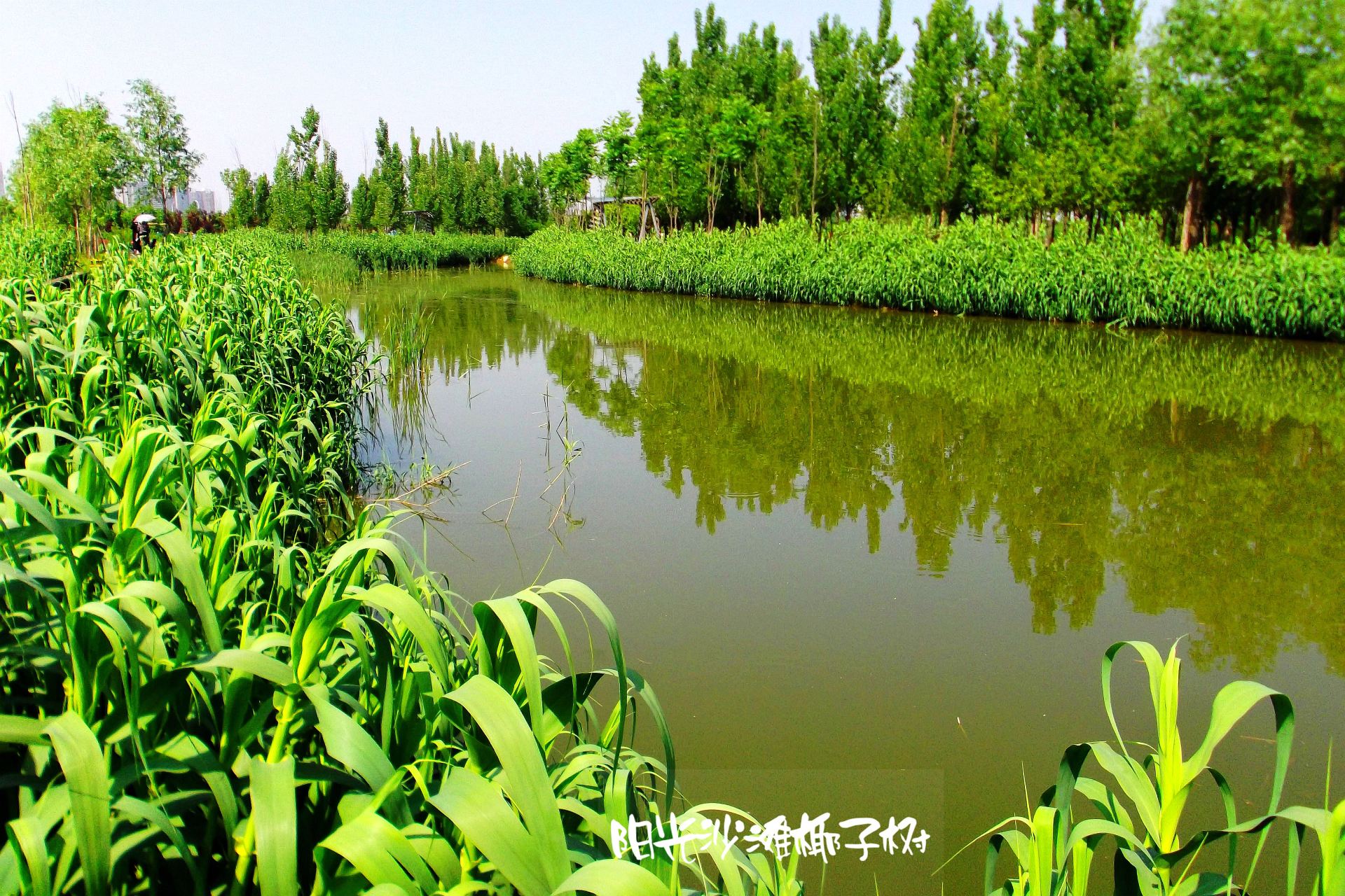 西安浐灞国家湿地公园