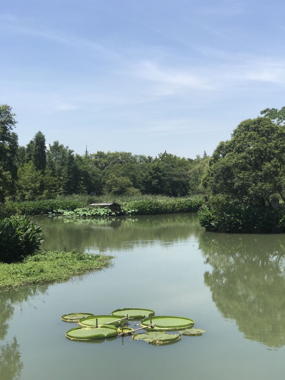 西溪国家湿地公园旅游景点攻略图